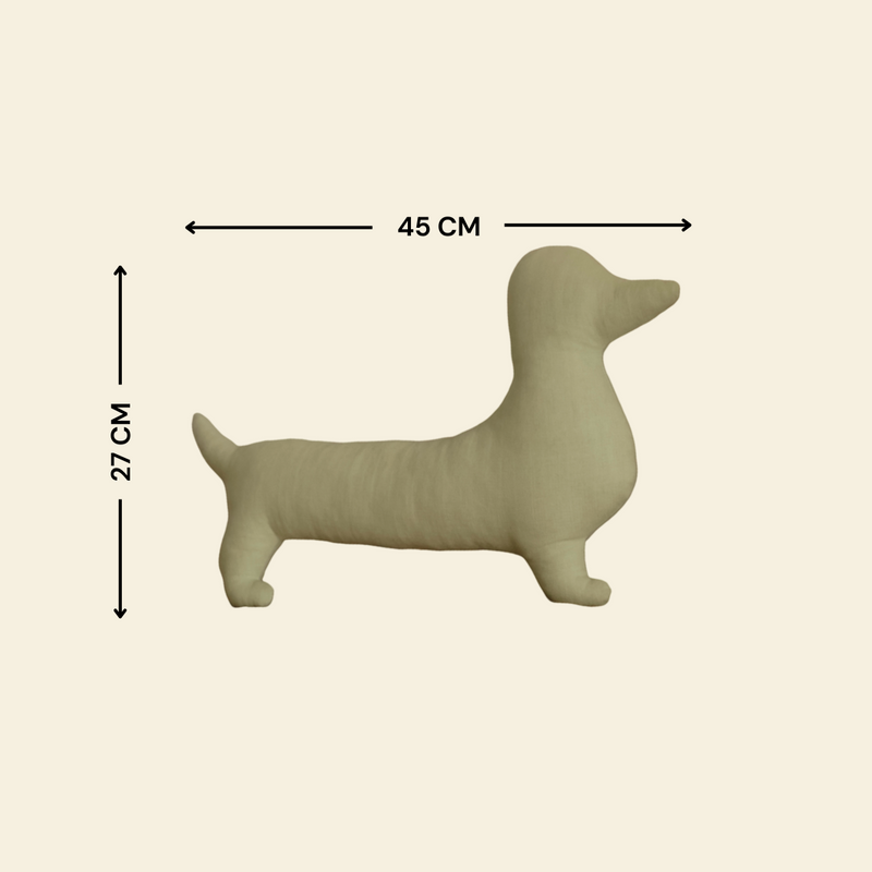 'Roley' The Dachshund